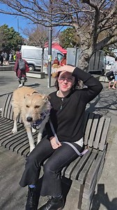 The Wellington wind tunnel effect. #woofwoof | Wellington - LIVE