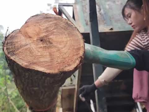 Transporting timber alone on a mountain road | Wild timber transport alone girl | wild survivel