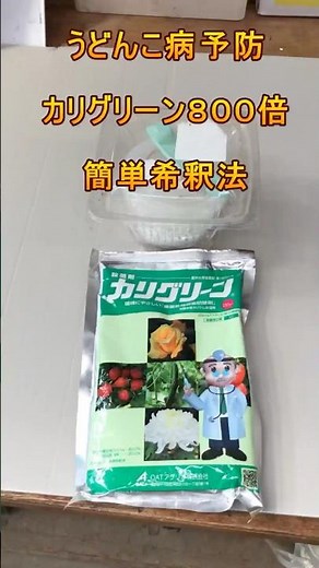 【うどん粉病予防】カリグリーンを毎回スプーン1杯で簡単希釈！有機栽培にも安心！