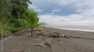 Explore the stunning landscapes of Corcovado National Park, where unique wildlife, lush ecosystems, and pristine beaches await your unforgettable adventure