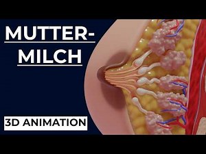 Wie dein Körper Milch aus Blut macht| Animation