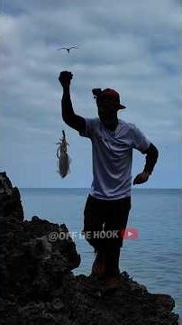 🔥 This Spot Looks FAKE... Karate Chopped 3 Squid To Prove It's Real 🦑