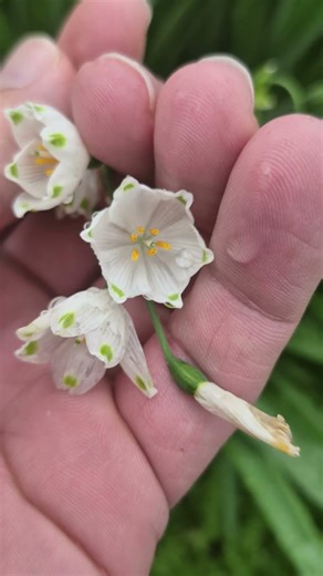 This flower sounds weird 🙀