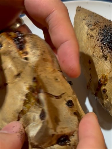 Eugene 尤金 on Reels