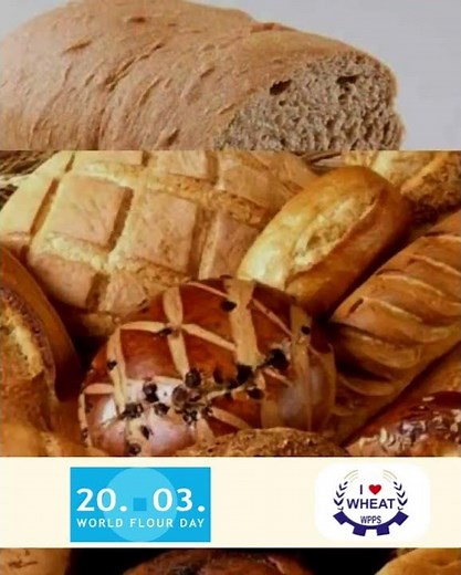 🌾 WPPS Celebrated World Flour Day 2026 | Flour is Life