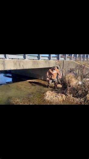 Mink number 3 here in Pennsylvania… Been a great trapping season thus far | Fur Life TV