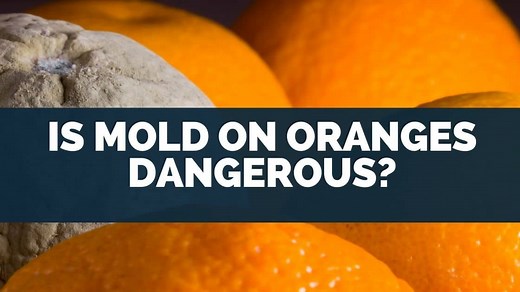 Is Mold On Oranges Dangerous? [Wash It, Toxic, Ruined?]