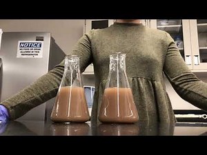 Flocculation Demonstration