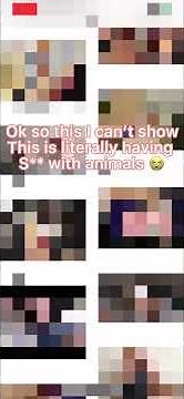 Don’t search art of zoo