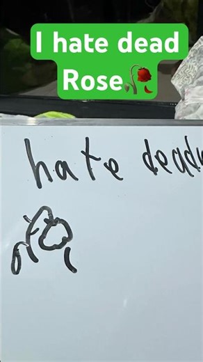 Why dead Rose is annoying