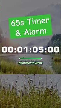 01:05s 🔔 65 Second TIMER with Tick Tock Sound Every Second and Alarm for 10s - No Loop