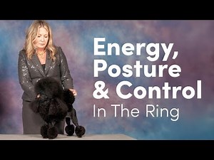 Energy, Posture & Control In The Ring | Dog Handling Tips