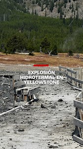 En el Parque Nacional #Yellowstone, en Wyoming, se produjo un fenómeno natural llamado explosión hidrotermal que lanzó por los aires agua hirviendo, vapor, barro y fragmentos de roca. ¿Qué es este fenómeno y por qué se produce? https://cnn.it/3zWzuSX | CNN en Español