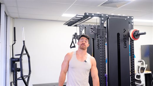 scapula pull up (neutral grip)