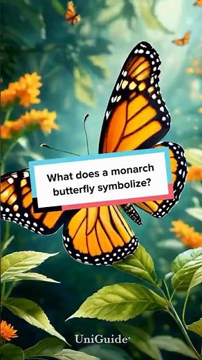 What does a monarch butterfly symbolize?
