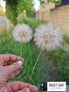 Maison Lamotte on Reels