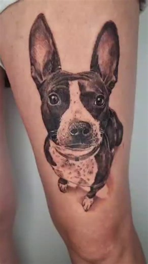 DOG #tattoo #viral #realismotatto #DOG #retrato