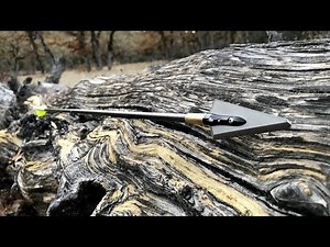 FOC and what it means for the Traditional Archery Hunter