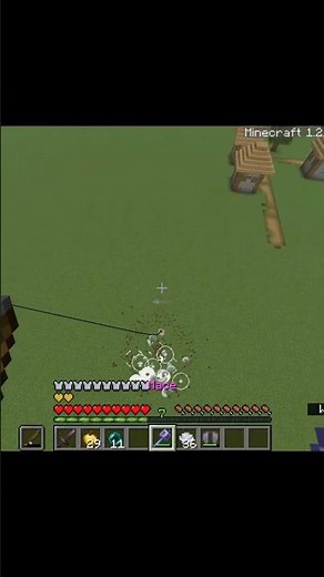 How to this armour stand+ fishing mace trick in Minecraft #minecraft