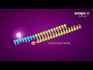 Anapa Biotech MeltPlex multiplex PCR