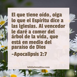 Explicación Apocalipsis 2:7. 'El que tiene oído, oiga lo que el Espíritu dice a las iglesias. Al vencedor le daré a comer del árbol de la vida, que está en medio del paraíso de Dios ".footnote rnd=198691069 idx=7 b2.7/b iParaíso:/i Referencia a la nueva Jerusalén de Ap' - BibliaBendita