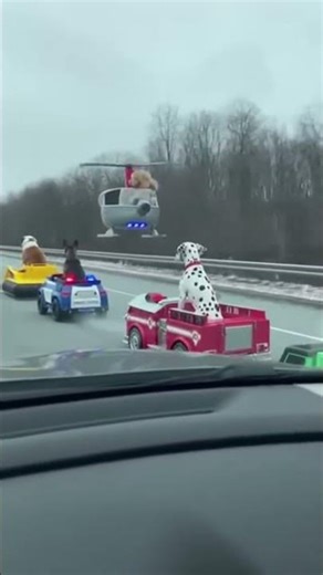 POV: Real Life PAW Patrol Police Chase on the Highway 🚁🐶#pawpatrol #automobile