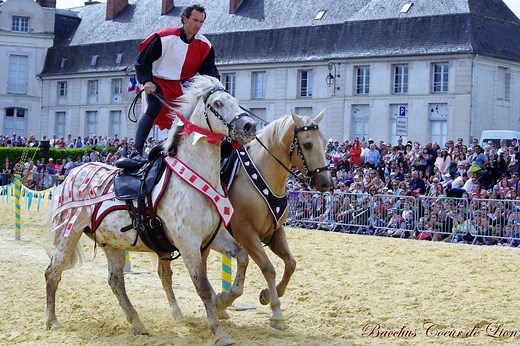 Fête médiévale de Dourdan - Office de Tourisme Dourdan