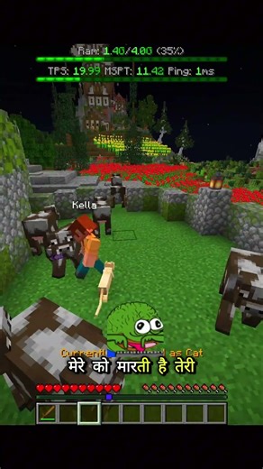 Minecraft MORPH TROLL gone WRONG 😱💀