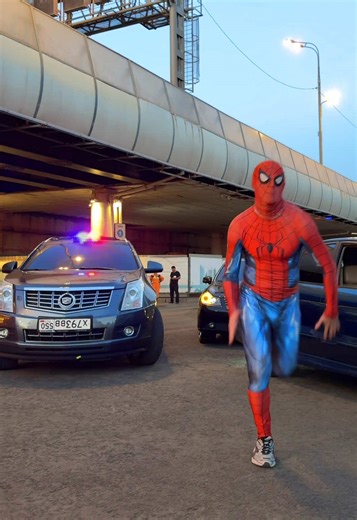 Exploring Moscow's Unique Jumping Spiders