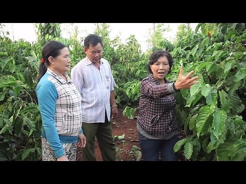 Vietnam: Sustainable Farming for Higher Productivity and a Better Environment
