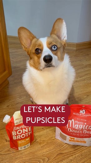 Dinner Dust. Bone Broth. A whole lot of fall flavor. 🍂 Kriser's Natural Pet shows how easy it is to make these pupsicles your dog will drool over. | Stella & Chewy's