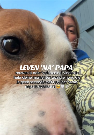 Huisdieren en verdriet: Begrip voor onze trouwe vrienden