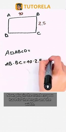 Calculate Rectangle Area: 10 cm × 2.5 cm Rectangle #Math #Rectangles #AreaOfARectangle