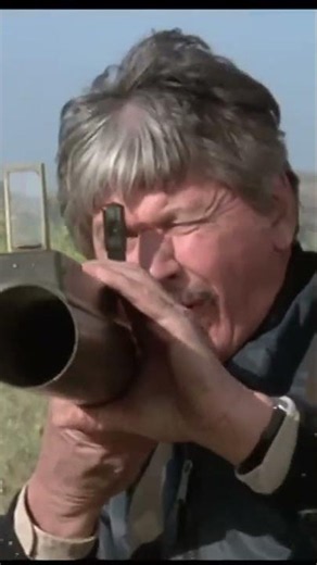 Charles Bronson/The Death Wish franchise