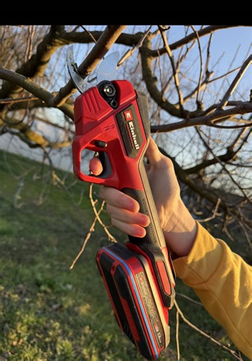 These Einhell pruners cut like crazy! @einhell.croatia #einhell #einhelltools #garden #gardentools #tree