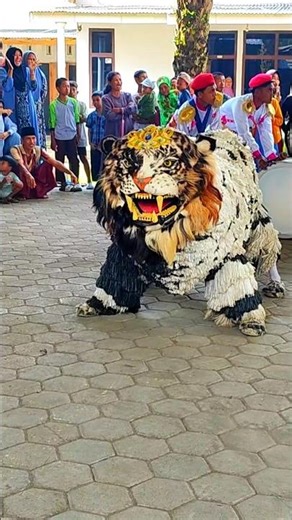 Asmr Lion dance in the village