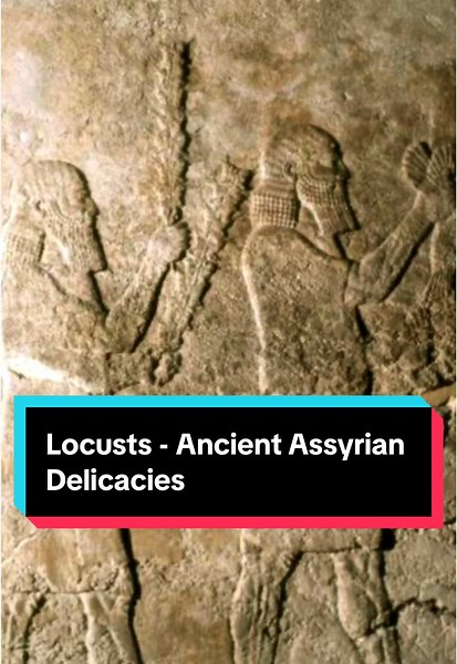 Delicacies from Ancient Assyria: The Fascination with Locusts