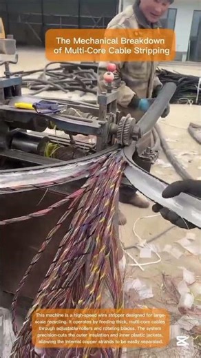 Sustainable Solutions for Large-Scale Electrical Scrap