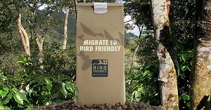 Do you know the birds 🐦 🐦 🐦 in your backyard may have overwintered in #BirdFriendly #coffee ☕ plantations? #DrinkBirdFriendly & discover the species of feathered travelers your coffee can help conserve! Smithsonian Migratory Bird Center Bird Friendly® certified coffee comes from farms using a combination of foliage cover, tree height and biodiversity to provide quality habitat 🌳 🌳 🌳 for birds and other wildlife. 🛒s.si.edu/BuyBF #WMBD2020 #WorldMigratoryBirdDay | Smithsonian’s National Zoo