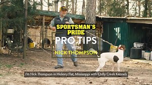58K views · 207 reactions | Watch as Nick Thompson of Chilly Creek Kennels shares some Pro-Tips on training new dogs to "whoa."  #SportsmansPride #ProTip | Sportsman's Pride | Facebook
