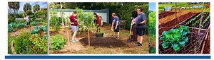 South Florida Community Urban Food HUB - UF/IFAS Extension Broward County