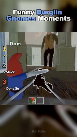Funny Burglin Gnomes Moments 💀😂