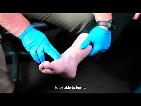 Checking Pulses: Pedal and Posterior Tibial