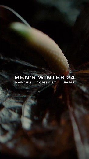 SAINT LAURENT - MEN'S WINTER 24
