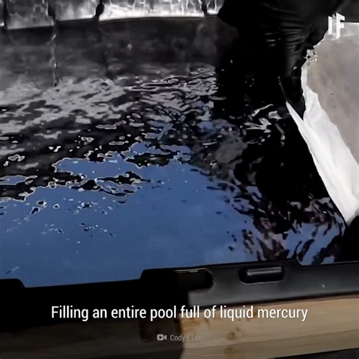 1M views · 9.8K reactions | Don’t swim here… seriously | What If | Facebook