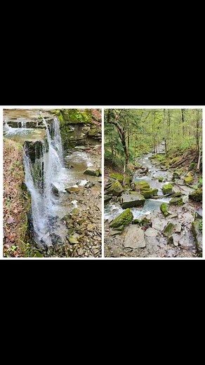 Niagara Bruce Trail Club on Reels