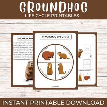 Groundhog Life Cycle | Rodent Woodchuck Science Unit Study & Fun Facts!
