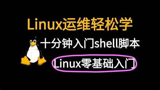 【2025最新的Linux入门课程】十分钟入门shell脚本/shell编程/Linux入门/shell基础/shell命令大全/shell学习