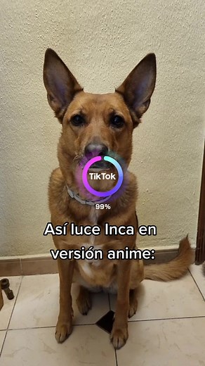 Inca se transforma en un adorable personaje de anime
