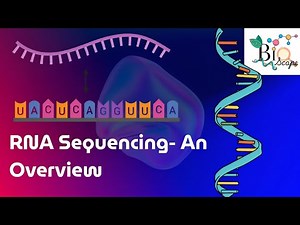 RNA Sequencing Explained | What is RNA-Seq & Why It’s Revolutionizing Biology